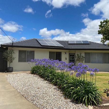 Para House, Tanunda. In The Heart Of The Barossa Valley!. Villa Exteriör bild